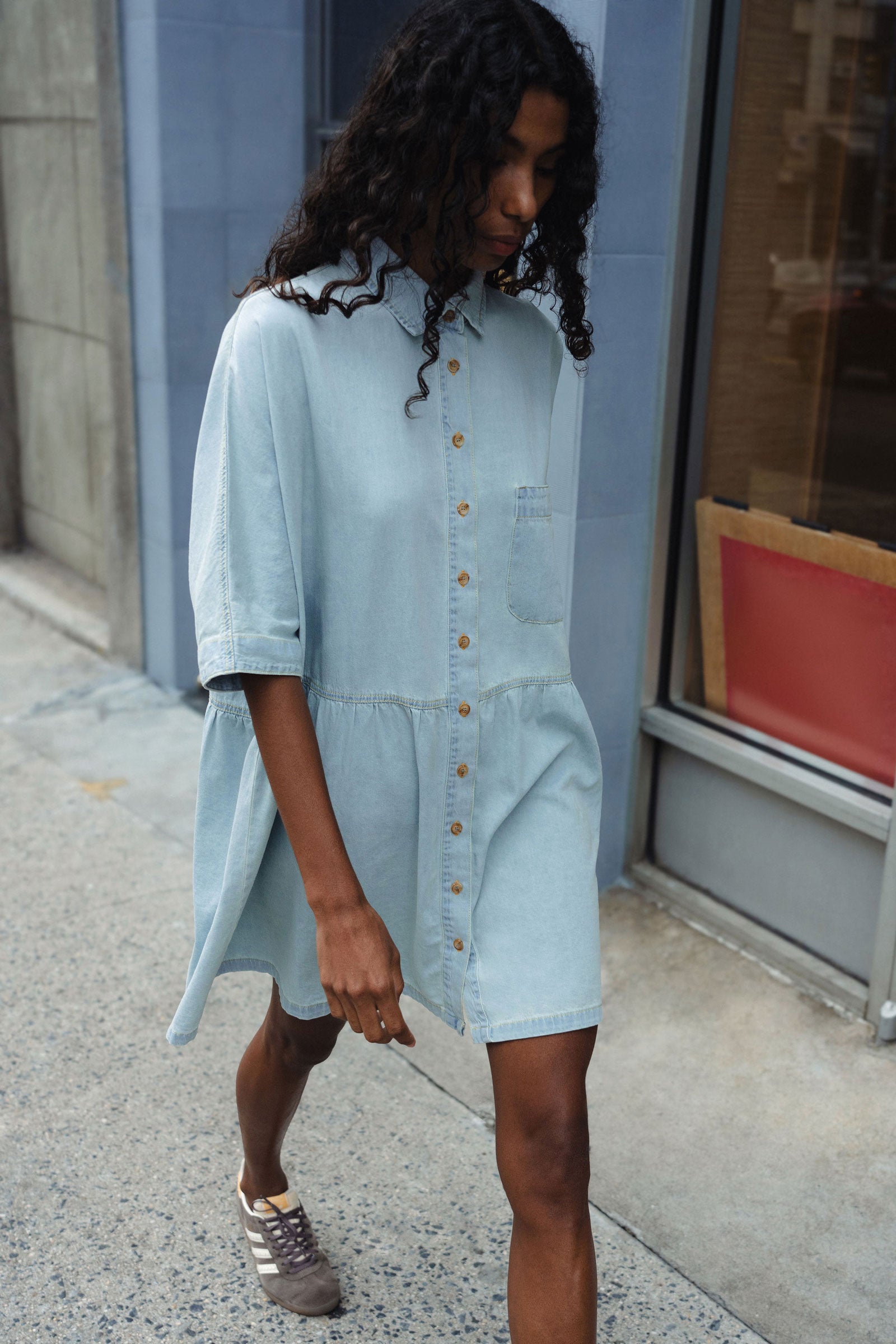 Bailey Denim Dress